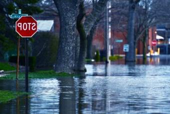 Flooded Street